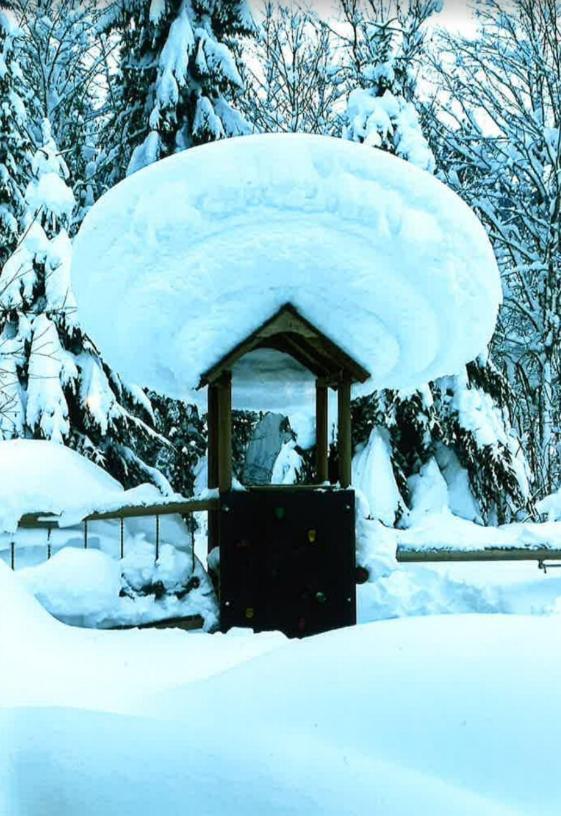 Merryshof Sankt Ulrich am Pillersee Dış mekan fotoğraf