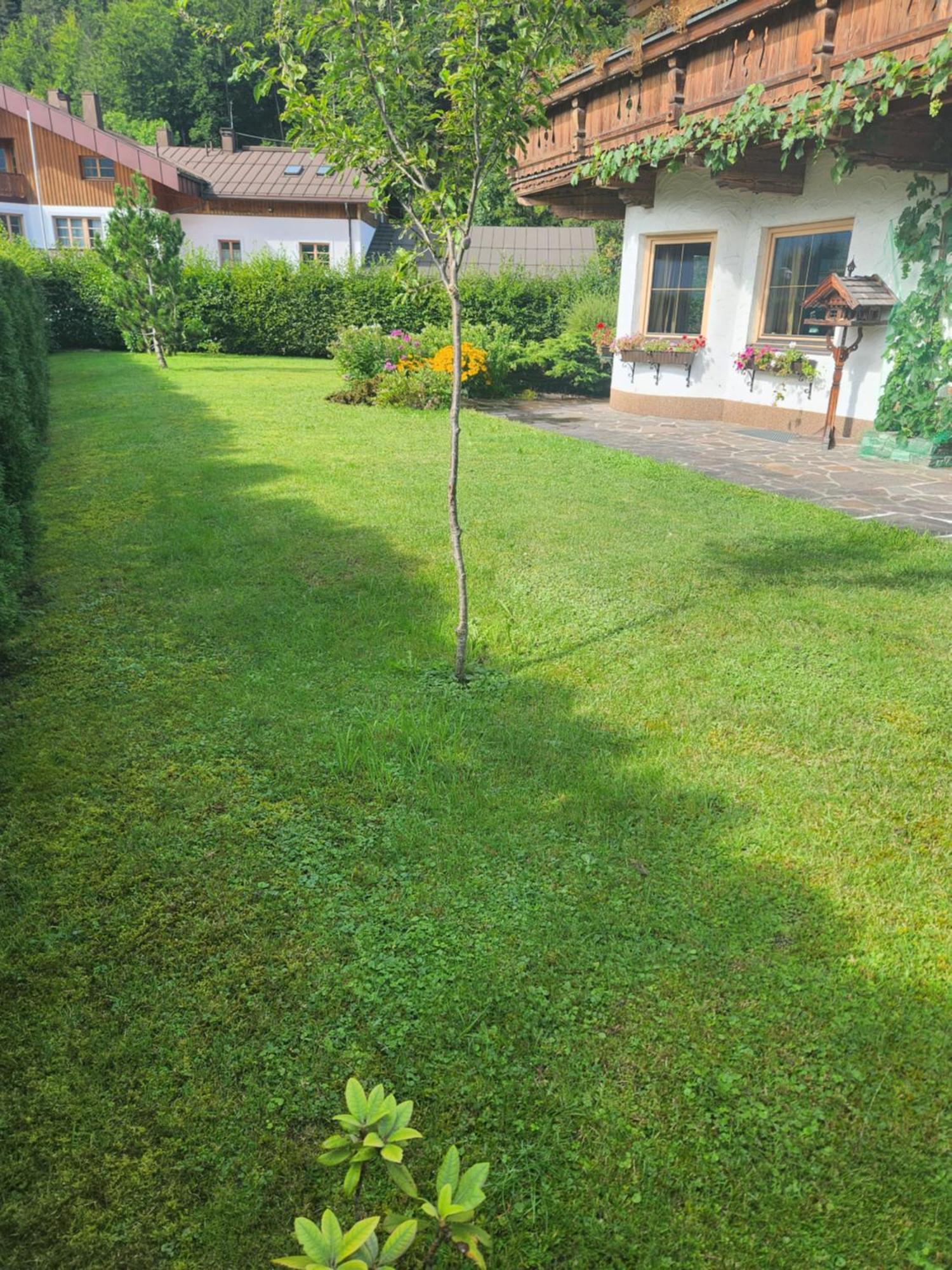 Merryshof Sankt Ulrich am Pillersee Dış mekan fotoğraf